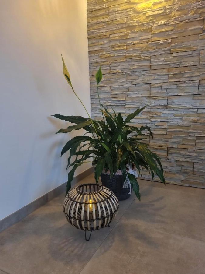 Wellness Ferienhaus 梅谢尼希 外观 照片